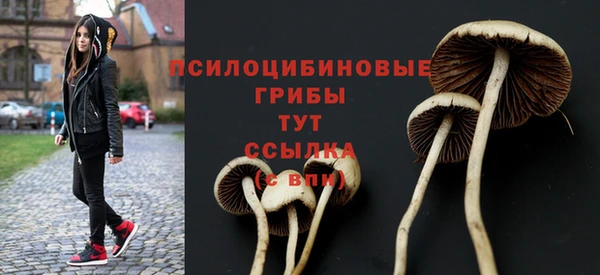 MDMA Каменка
