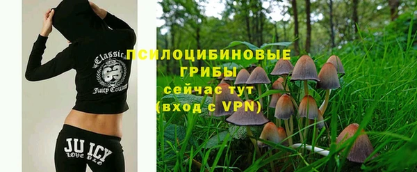 мдпв Ачинск