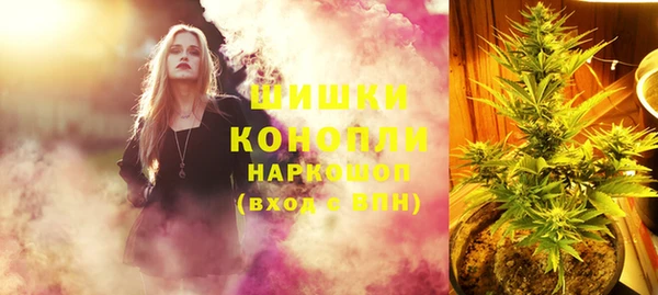 стаф Киренск